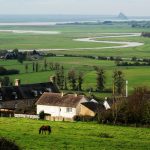 居家垂直農場主題視覺：探討水耕技術與智慧種植如何重塑現代家庭食材供應鏈