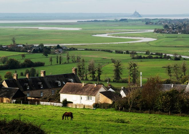 居家垂直農場2026完整指南：從LED光譜技術、NFT水耕系統到AI種植助理，你家客廳如何變成全年無休的蔬菜產線