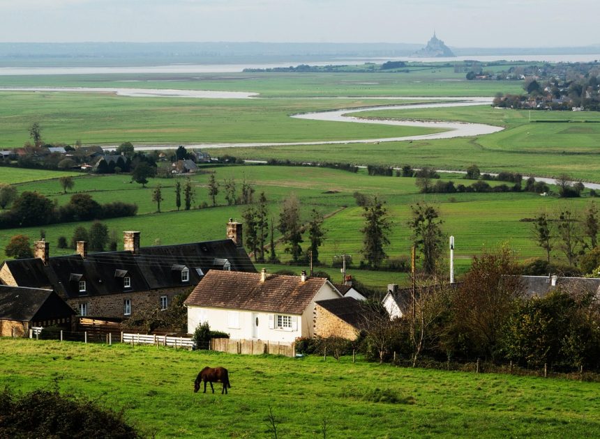 居家垂直農場2026完整指南：從LED光譜技術、NFT水耕系統到AI種植助理，你家客廳如何變成全年無休的蔬菜產線